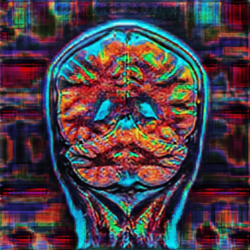 Ayahuasca 2