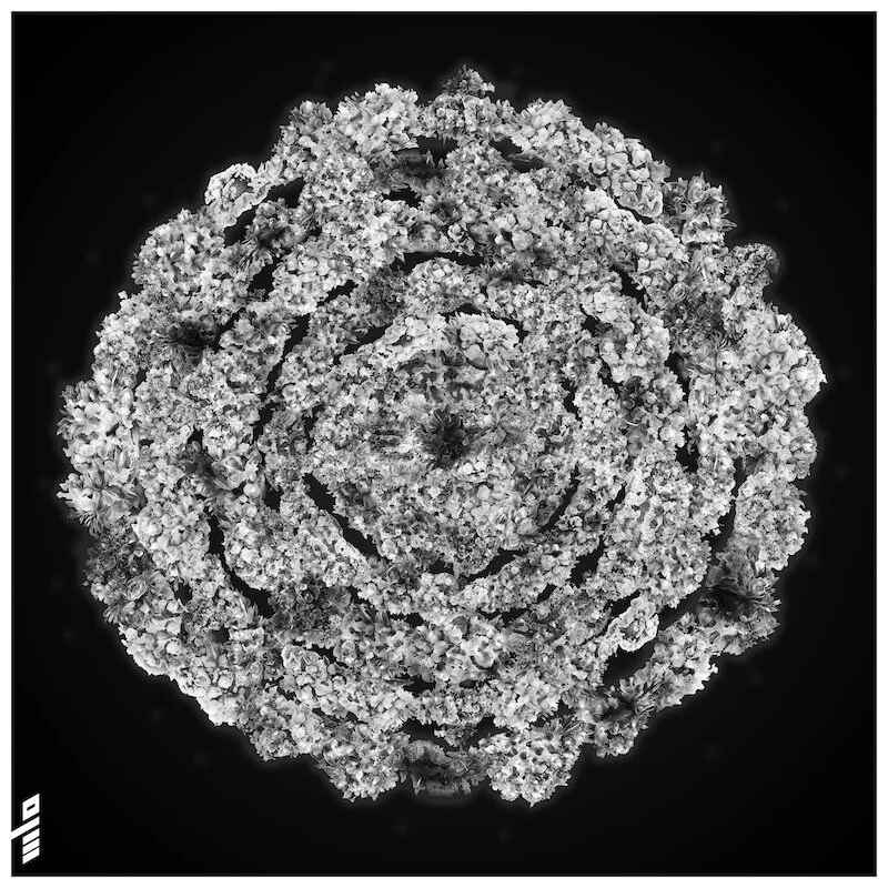 Cloud Sphere Flower, Playform AI, Ostachowski 2021