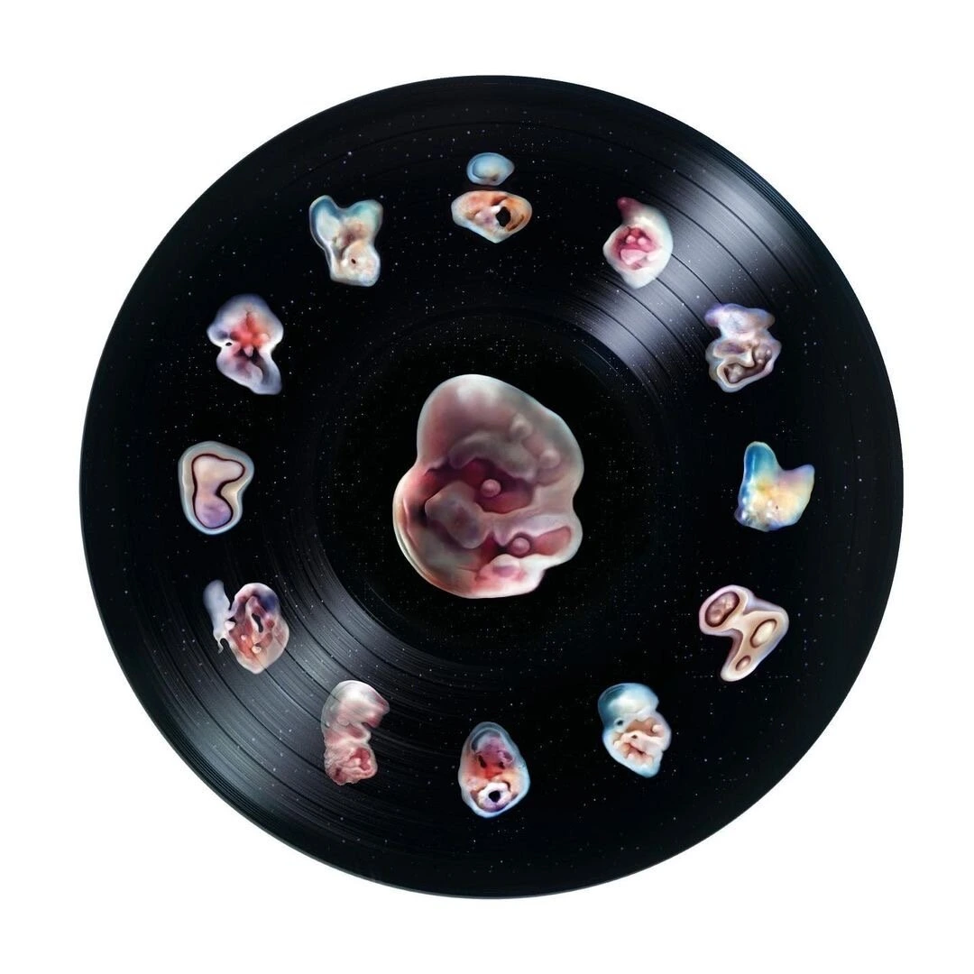 AI-Generated Vinyl Art for Björk’s 'Cosmogony' Using Playform