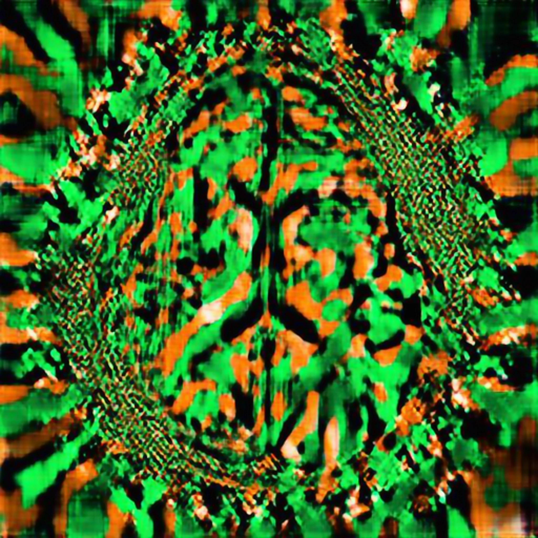 AI-Generated Psychedelic Art with Playform Tools